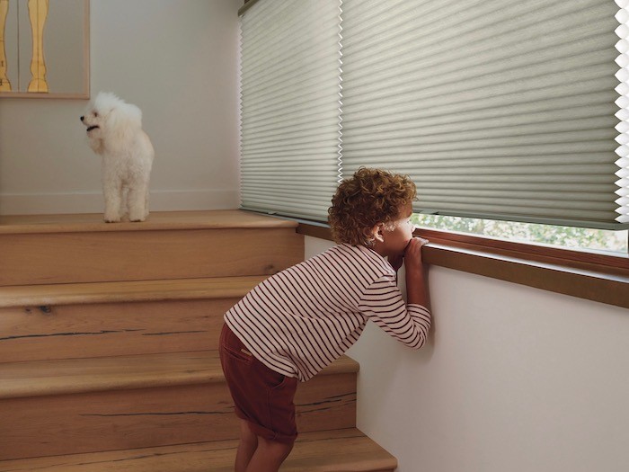 contact clean blinds america